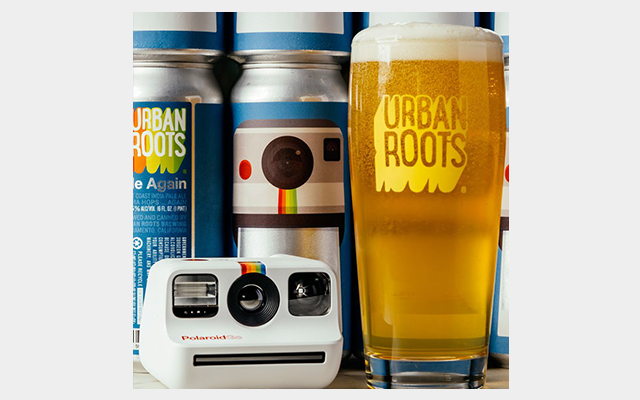 ダイナソー キャニオン